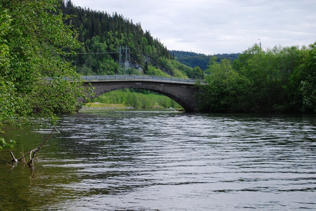 [DSC_6110_c[5].jpg]