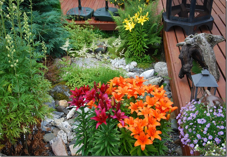 DSC_7426