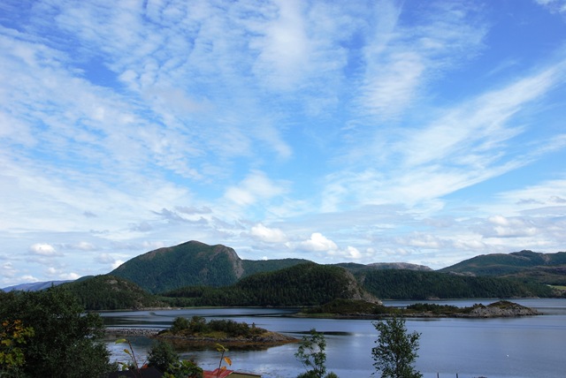 [DSC_7491_c[5].jpg]
