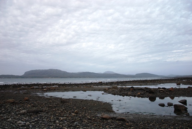 [DSC_7837_c[5].jpg]
