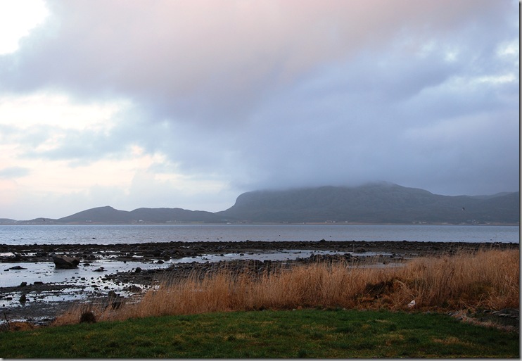 DSC_8882_c