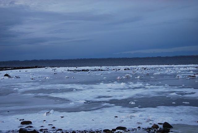 [DSC_9054[5].jpg]