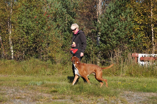 [DSC_9238[4].jpg]