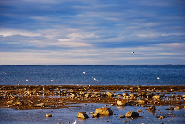 [DSC_3011c[4].jpg]