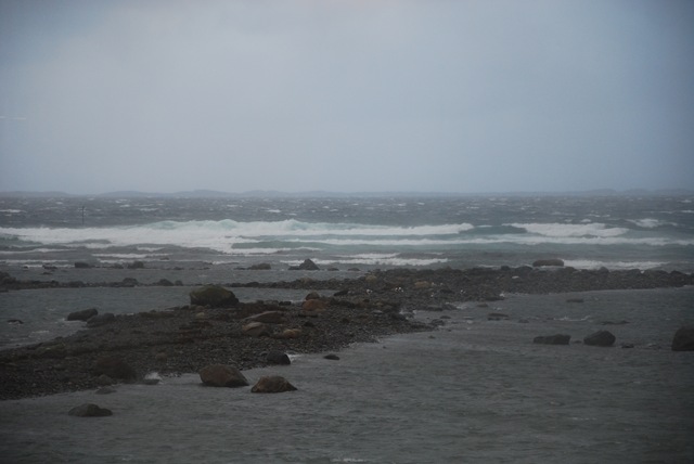 [DSC_3874[5].jpg]