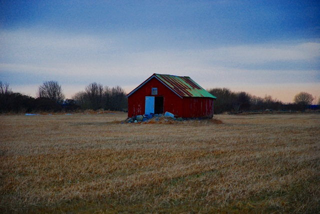 [DSC_4113c[5].jpg]
