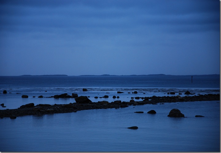 DSC_4130c