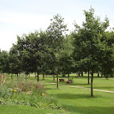 DSC01235.JPG