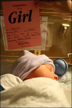IMG_0256 IMG_0256