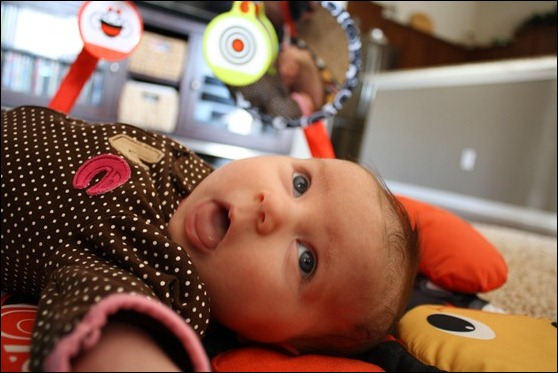 IMG_0658 IMG_0658