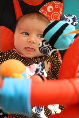 IMG_0664 IMG_0664