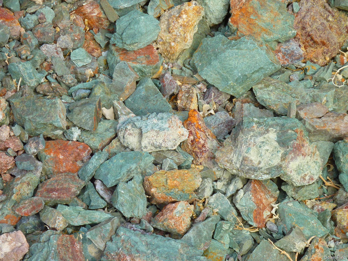 [mosaic canyon_065[3].jpg]