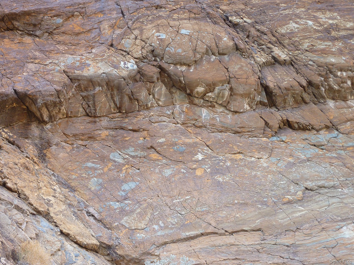 [mosaic canyon_139[4].jpg]