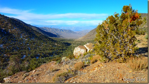 wildrose hike and charcoal kilns_017
