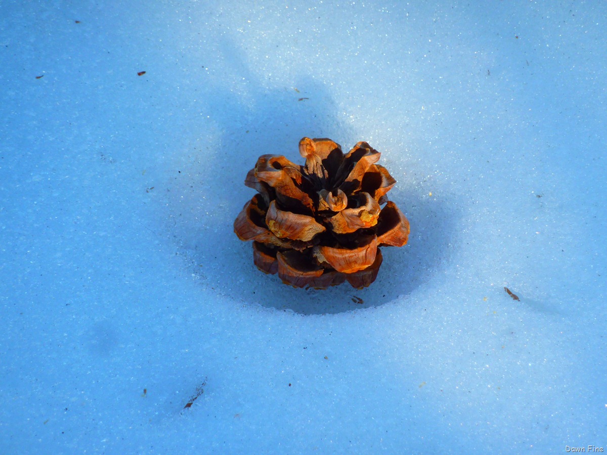 [wildrose hike and charcoal kilns_084[3].jpg]