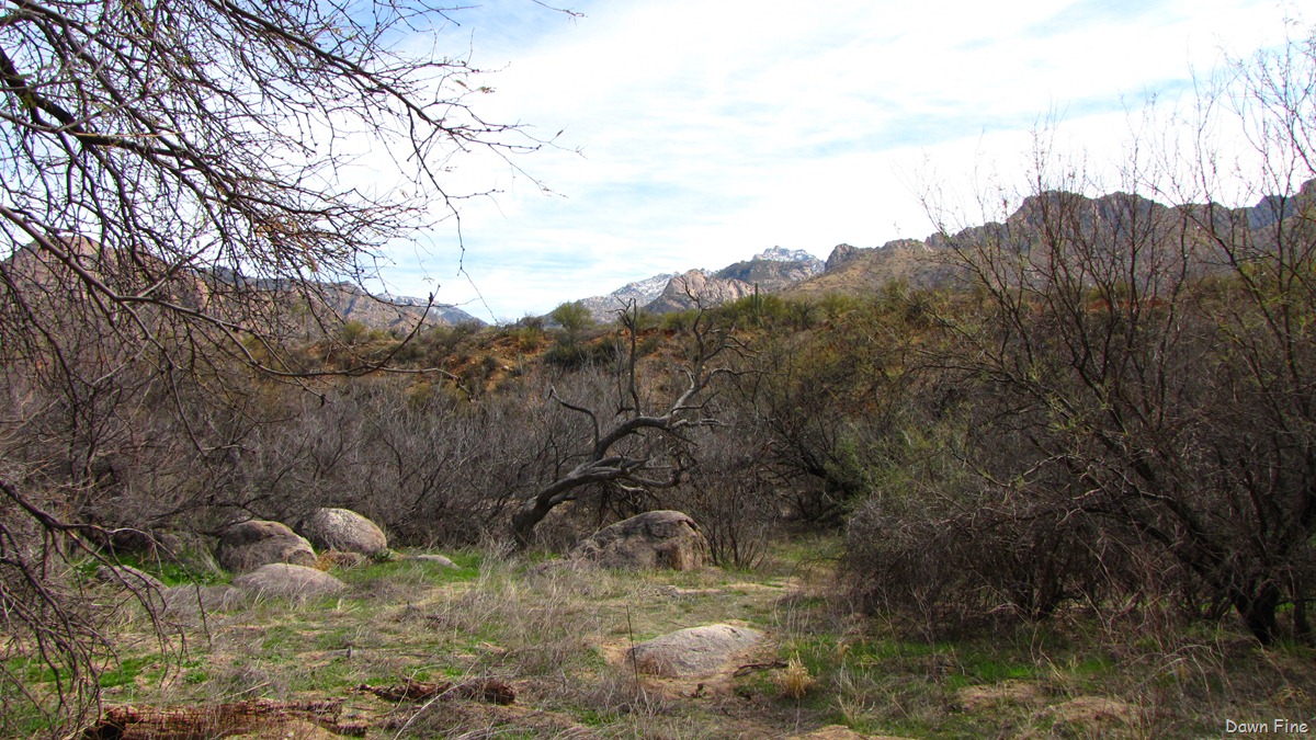 [Catalina and birding with Kathie_044[3].jpg]