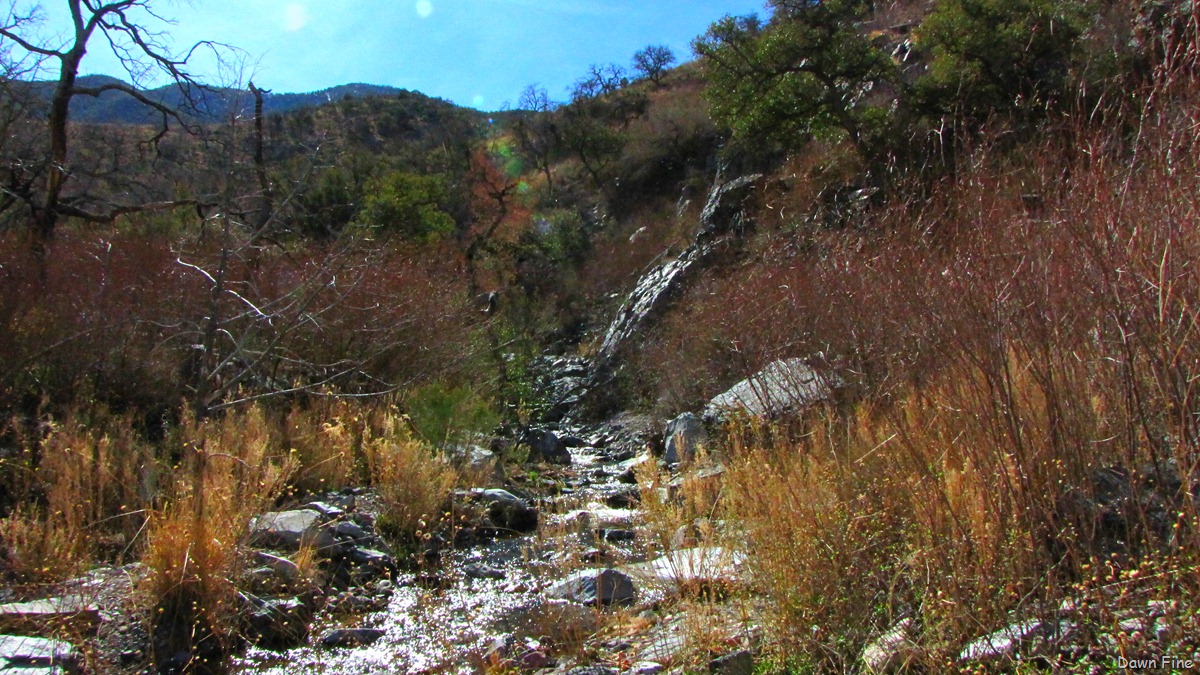 [FloridaWash_0371.jpg]