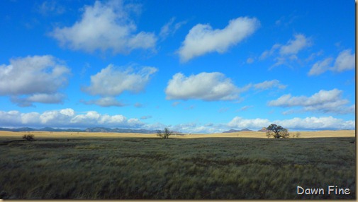 San Rafael Grasslands_016