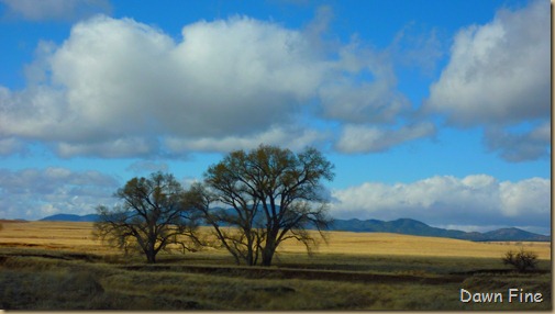 San Rafael Grasslands_018