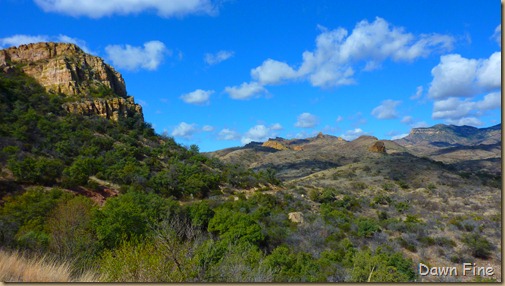 ruby road to Arivaca_003