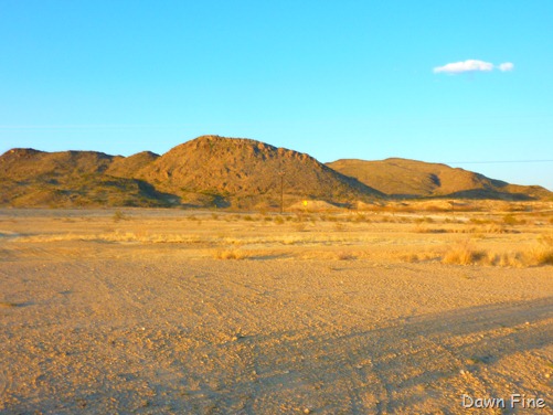 [Big Bend day 1_027.jpg]