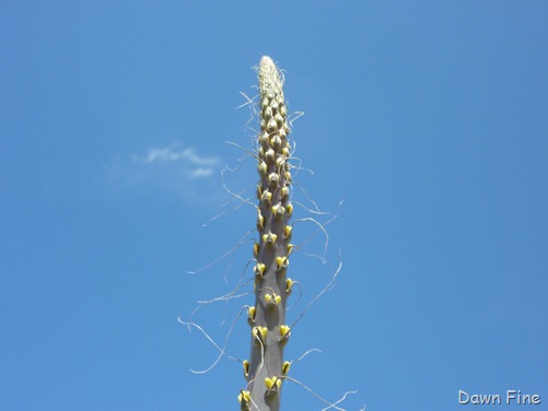 [Ernst Tenaja_016.jpg]