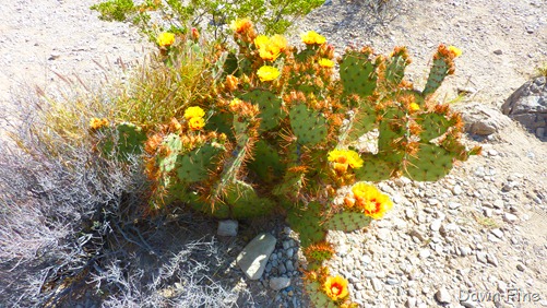 [Bouquillas Canyon_009.jpg]