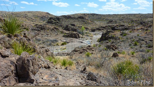 Big Bend Ranch State park_070