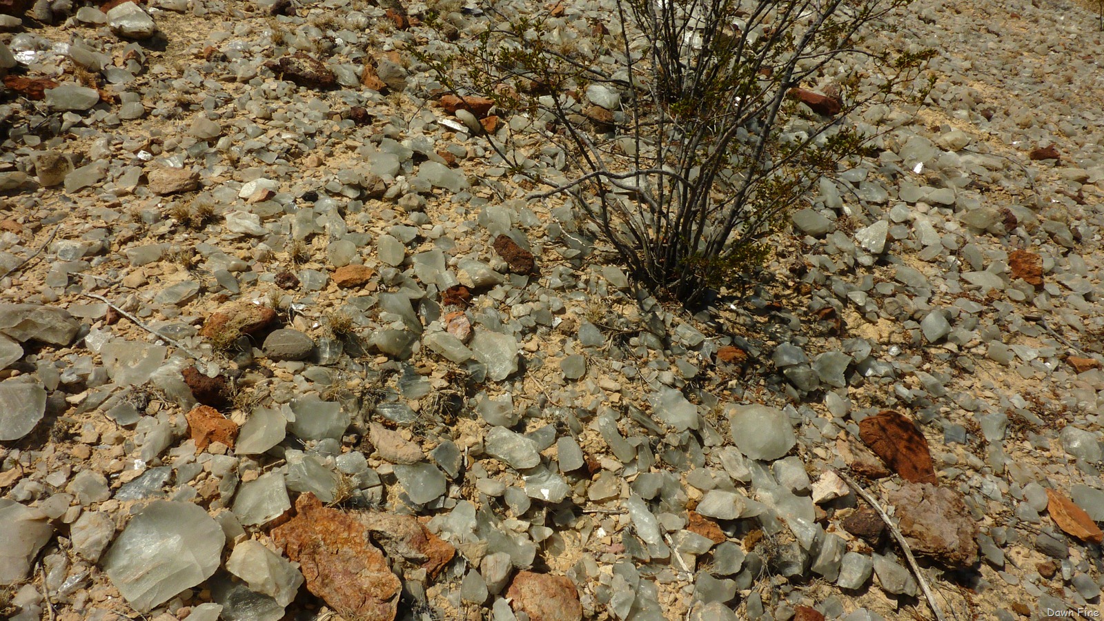 [Crystaltrail_0132.jpg]