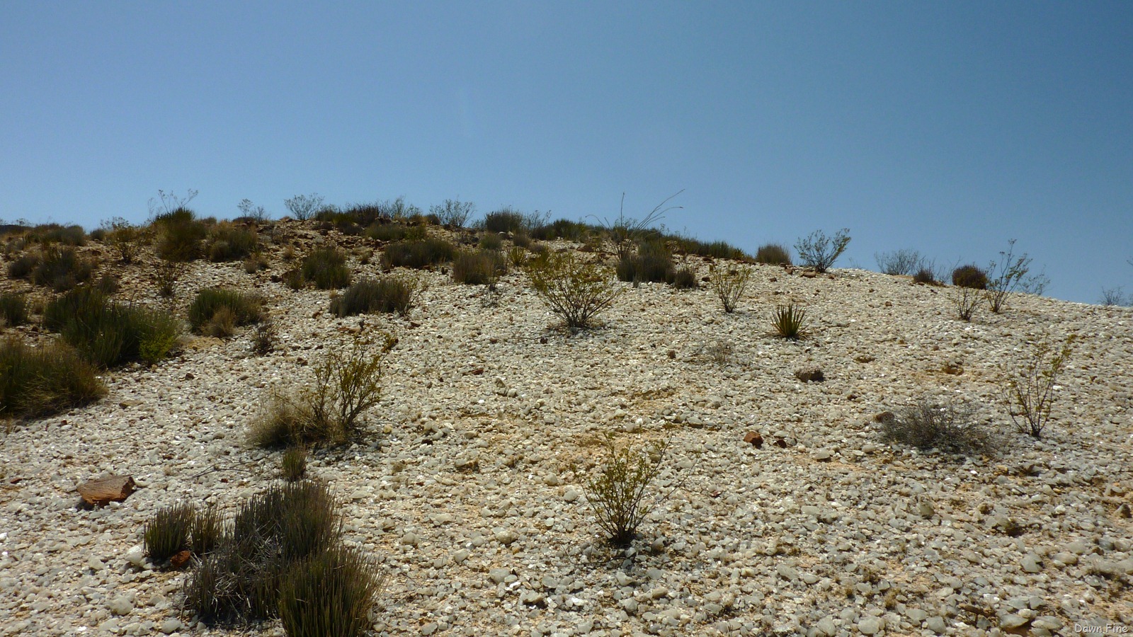 [Crystaltrail_0223.jpg]