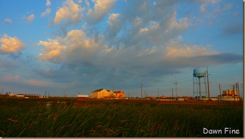 padre island fall out_015