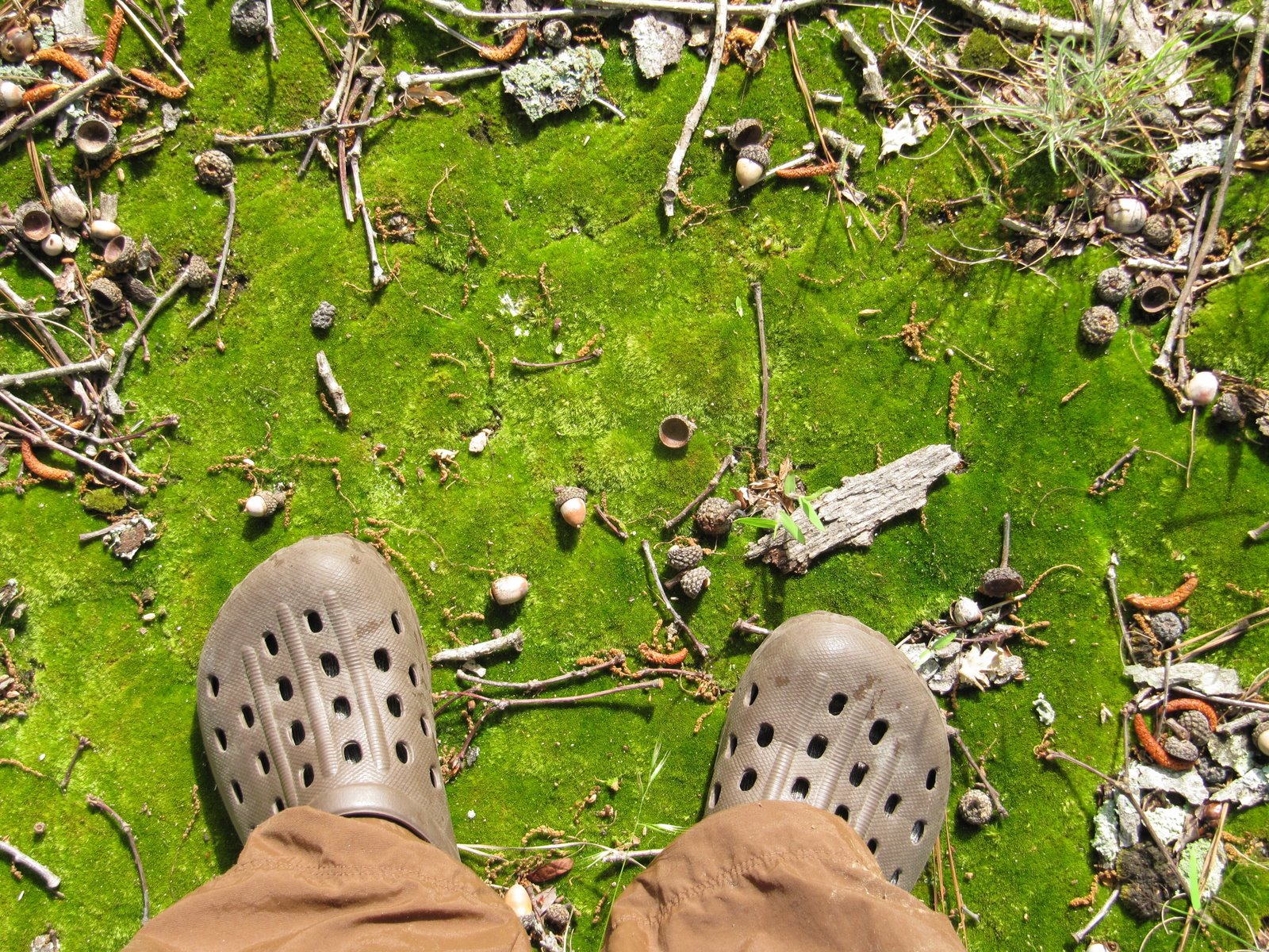 [dawns feet on moss_20090504_001[3].jpg]
