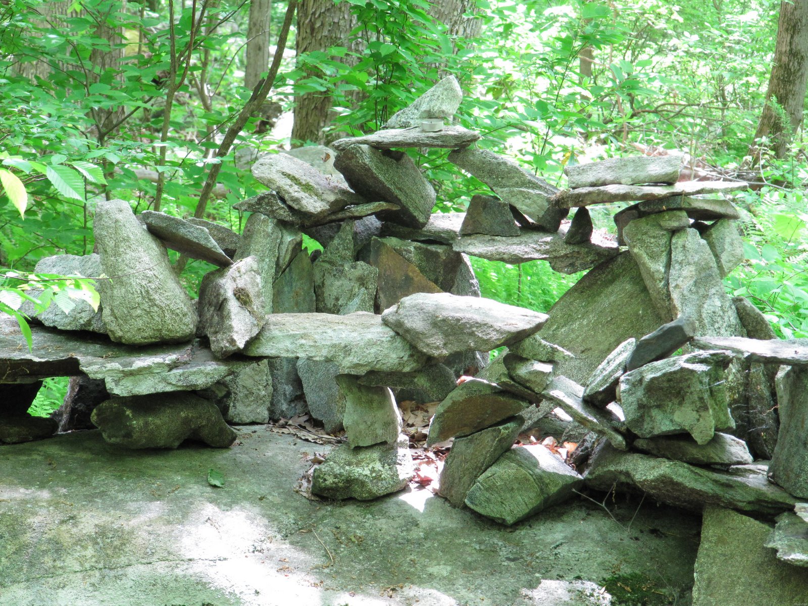 [HIKEWITHSAM_20090524_0222.jpg]