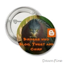 [birders_who_blog_tweet_and_chirp_button-p145664733167229518tmn2_210[2].jpg]