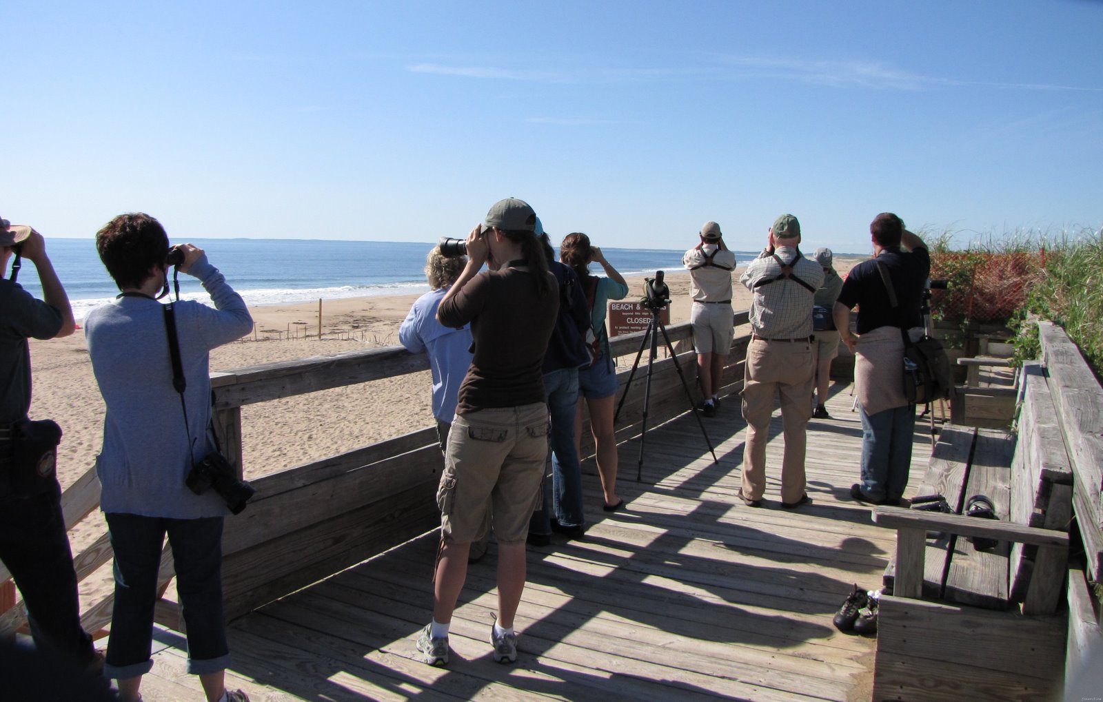[Birders who Blog, Tweet and Chirp_20090613_029[3].jpg]