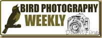 bird photog weekly