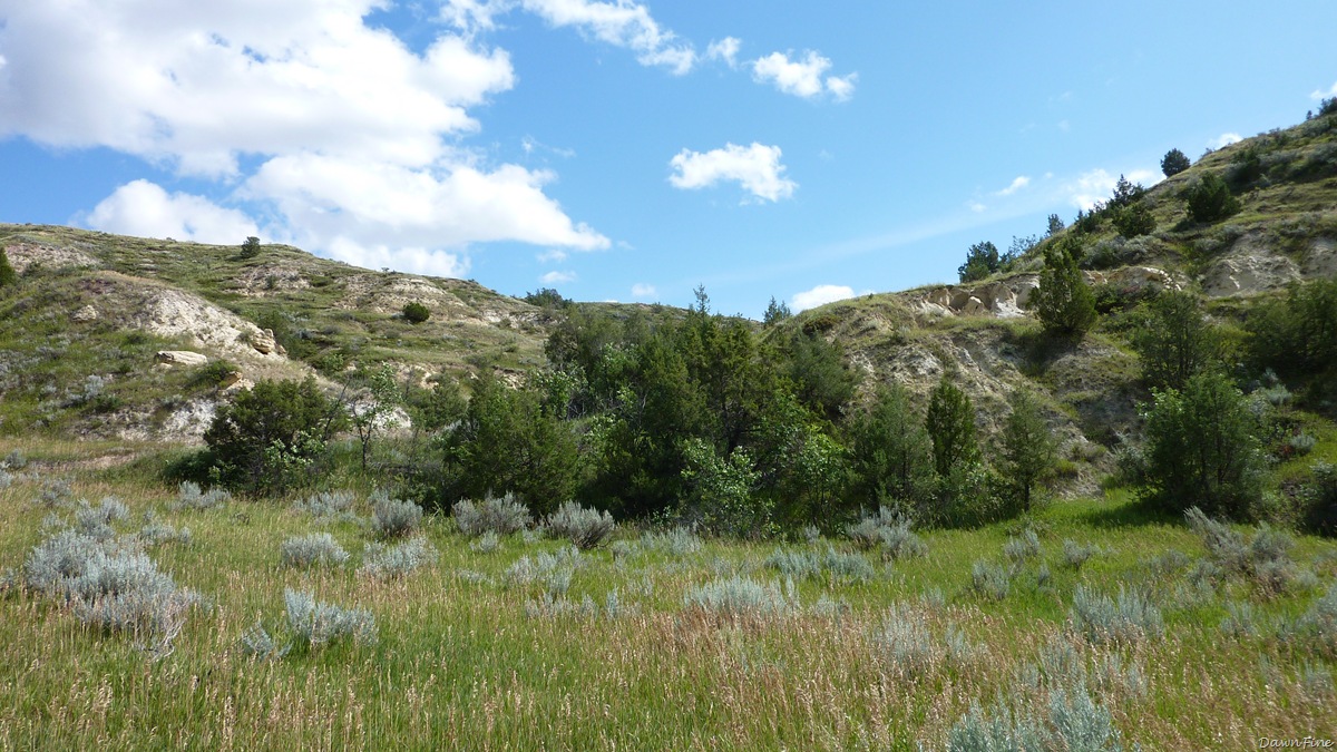 [TRoosv. NP_20090817_030[1].jpg]