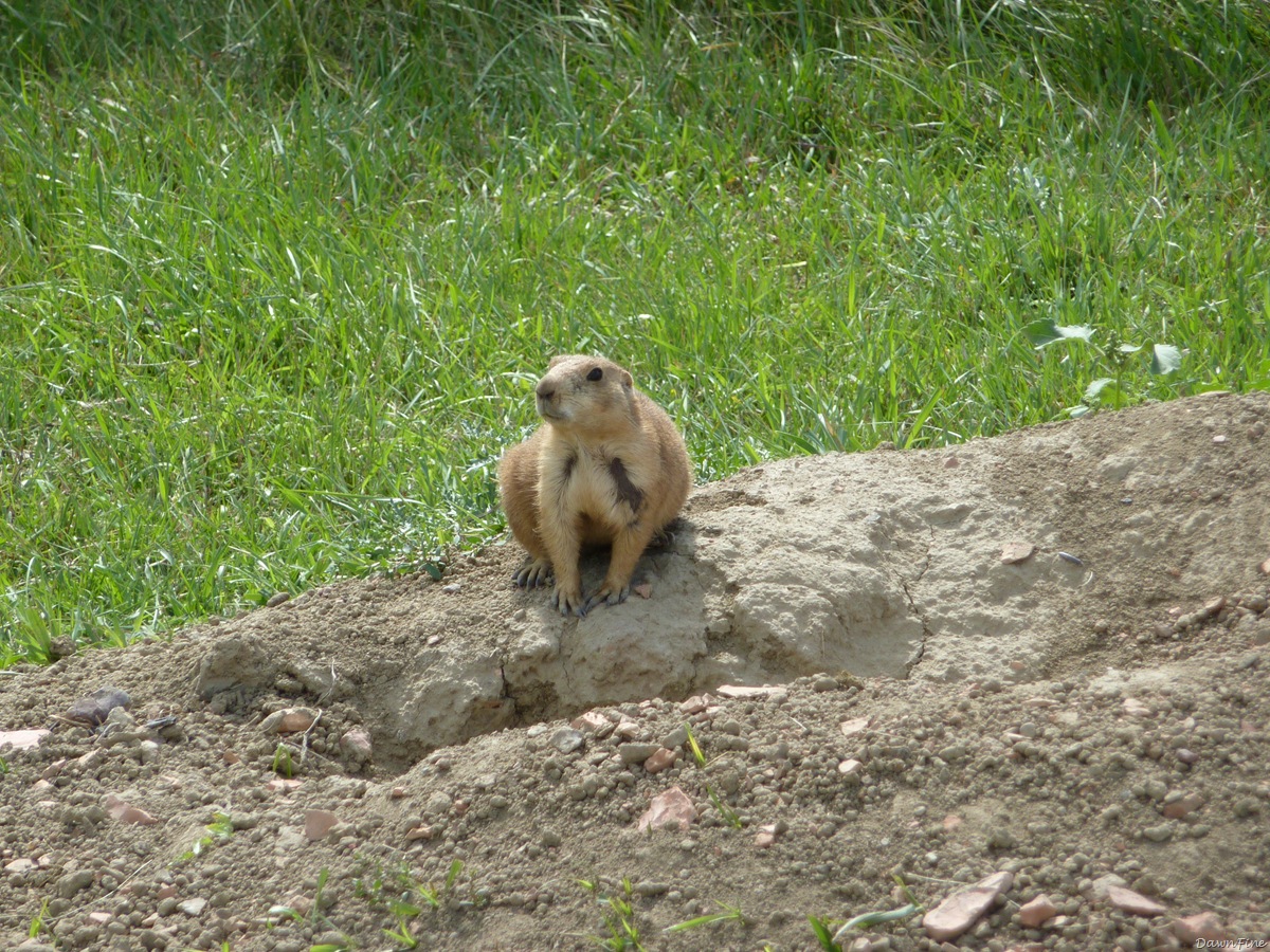 [TRoosv. NP_20090817_039[2].jpg]