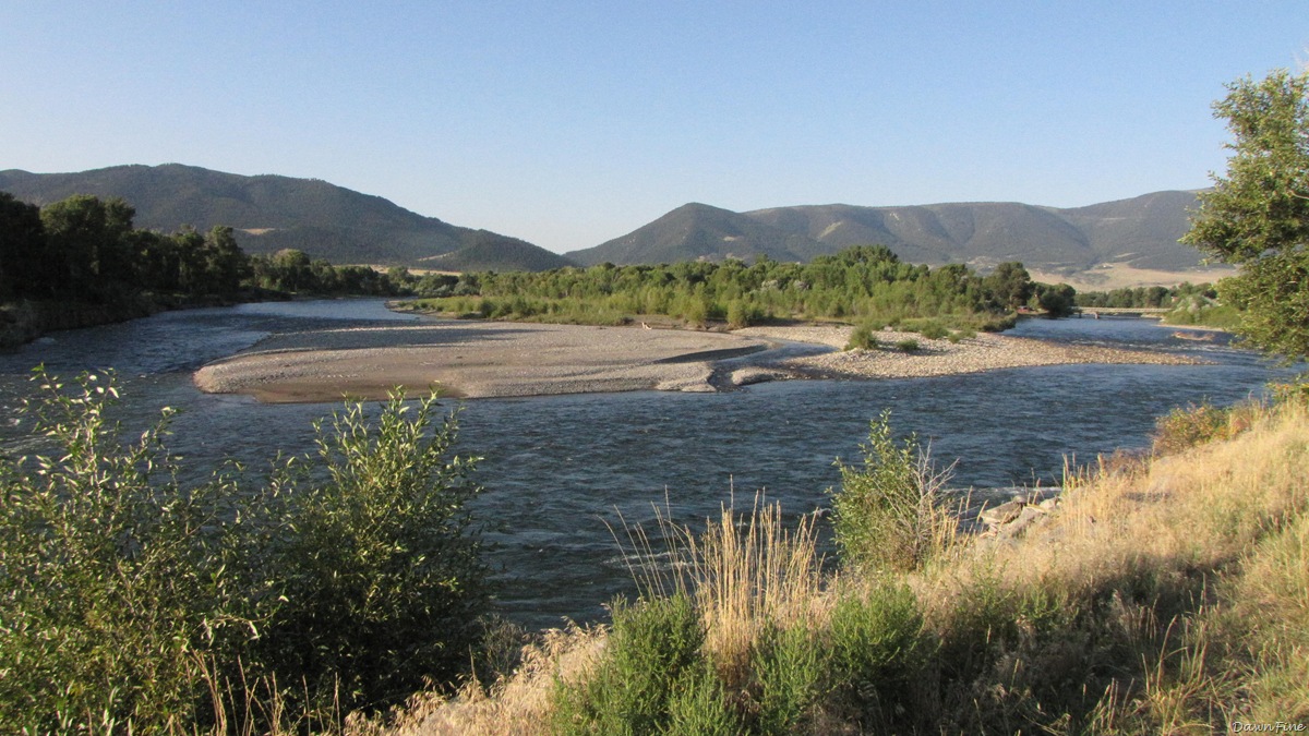 [livingston_20090821_060[2].jpg]