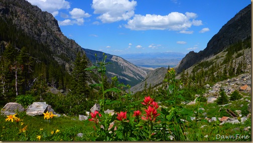 Elephant mountain hike_20090825_083