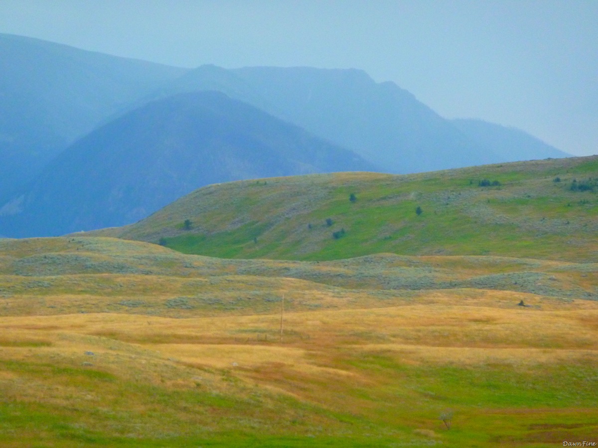 [Hike west boulder_20090822_182.jpg]