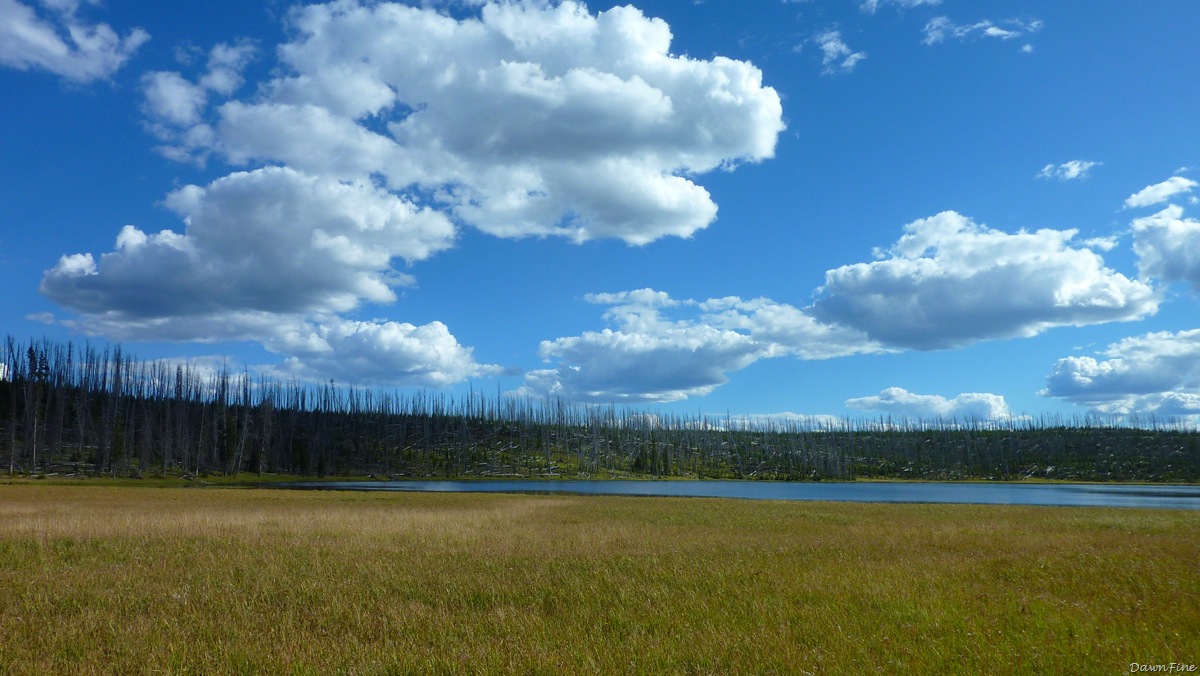[cascadelakehike_20090902_0084.jpg]