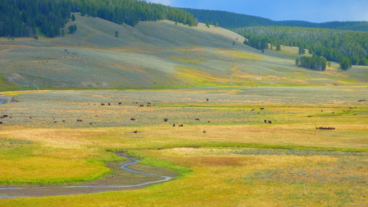 [mammoth to yellowstone lake car tour_20090903_064.jpg]