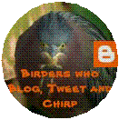 [chirp button croped[3].gif]