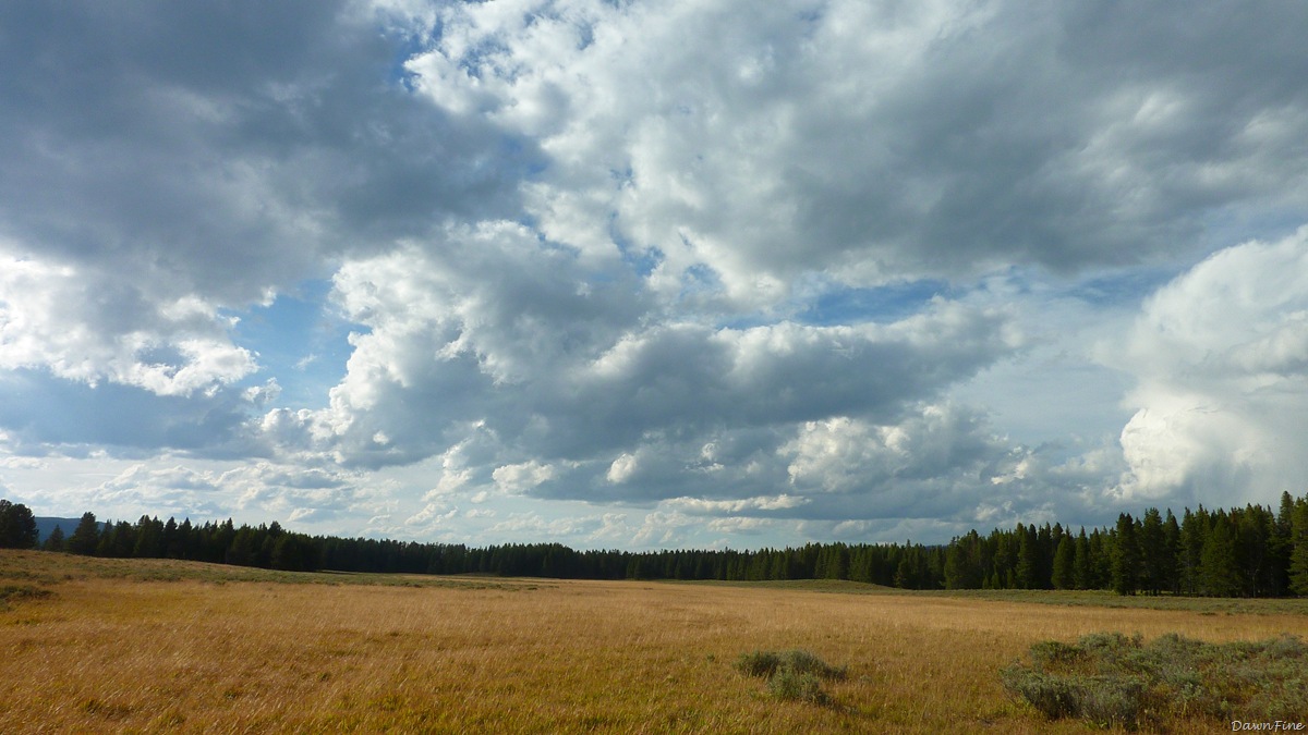 [Yellowstonedawns_20090906_0642.jpg]