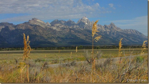 Drive in tetons_20090913_032