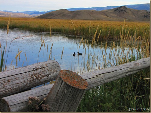 Drive in tetons_20090913_004