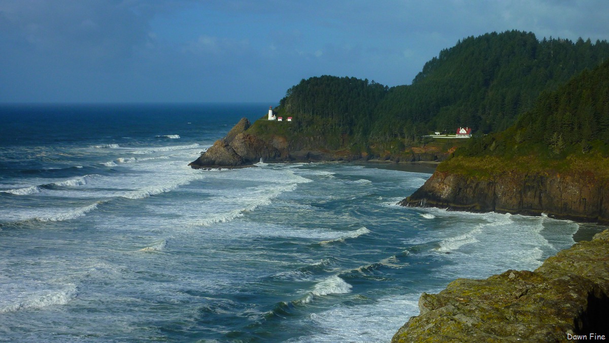 [oregon coast drive_038[3].jpg]