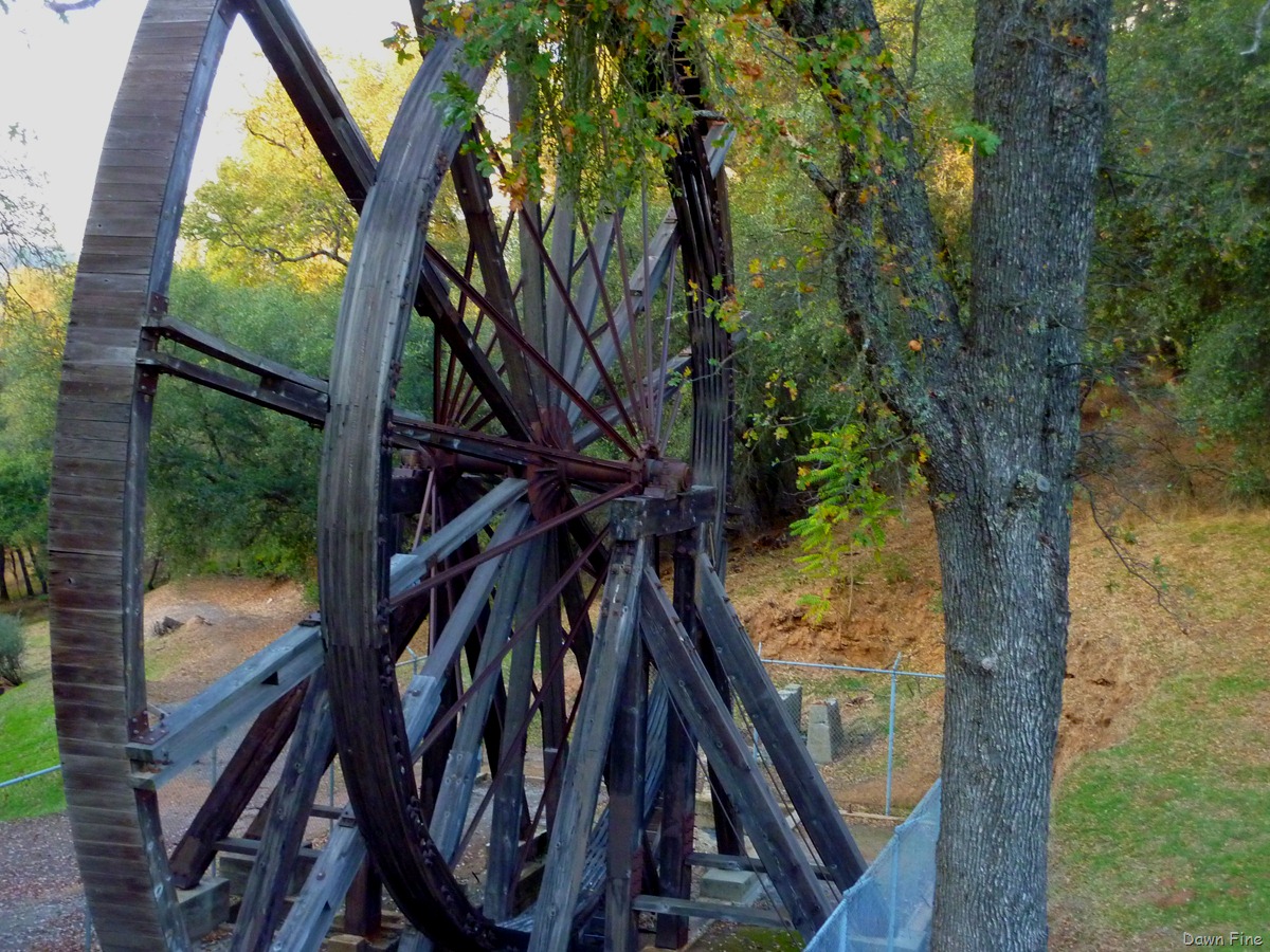 [CaliforniaGoldRushtour_0315.jpg]