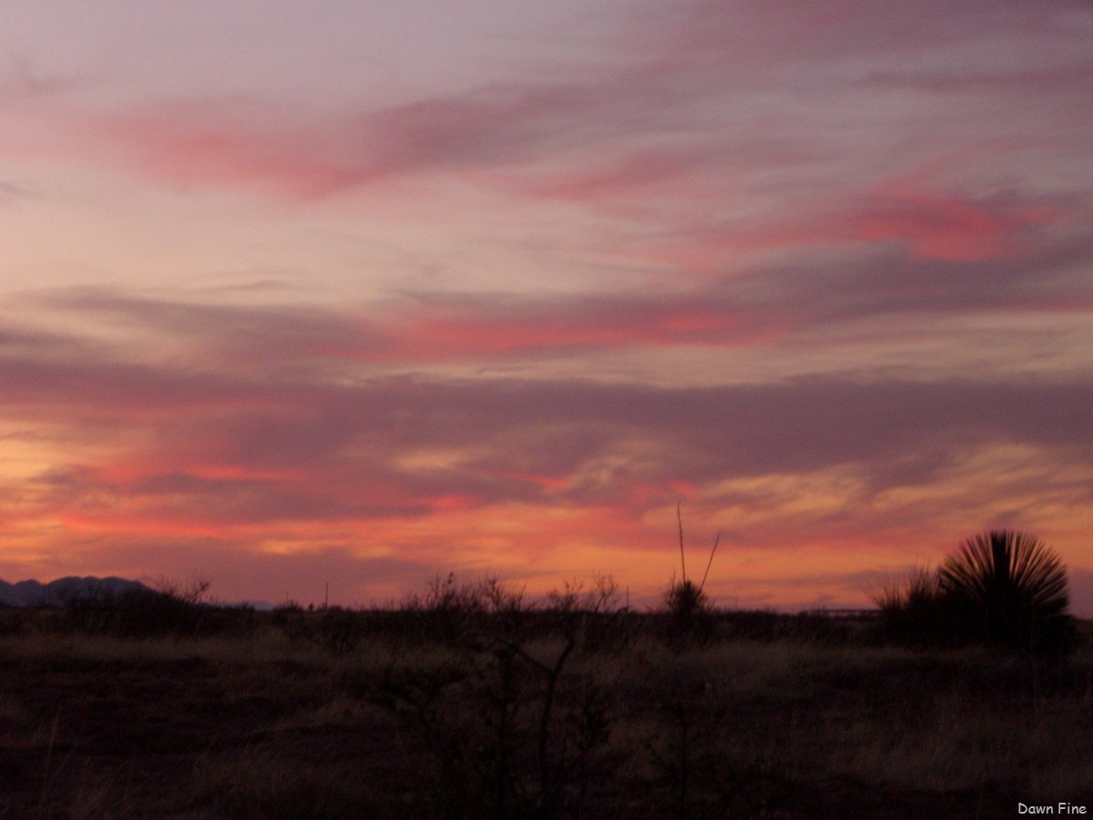 [greenhousetrailhike (78)[2].jpg]